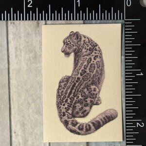 🌀10/$10🌀 Classic Vicious Cats Lion Tiger Cheetah Reusable Washi Sticker Decal
